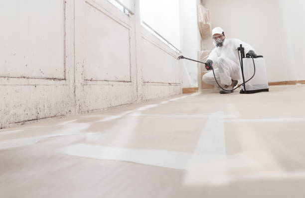 24/7 Emergency Mold Removal experts in Brunswick, GA
